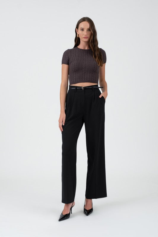 High Waist Front Pleat Wide Leg Dress Pants (Black)